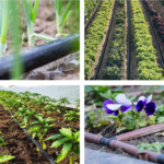 Barbed End Plug Set for Drip Irrigation Tubing