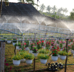 30-Piece Adjustable 360-Degree Garden Sprinkler Nozzle Set - Image 2