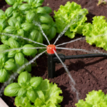 30-Piece Quick-Connect Drip Irrigation Emitter Set with Stakes