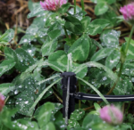 Adjustable Drip Irrigation Dripper Set - Image 2