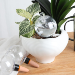 Large Self-Watering Globes for Potted Plants, 6 Pack