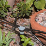 Drip Irrigation Manifold with Multiple Watering Outlets